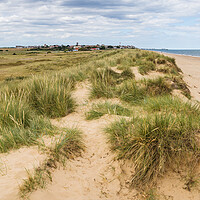 Buy canvas prints of Southwold seen over the sand dunes by Jason Wells