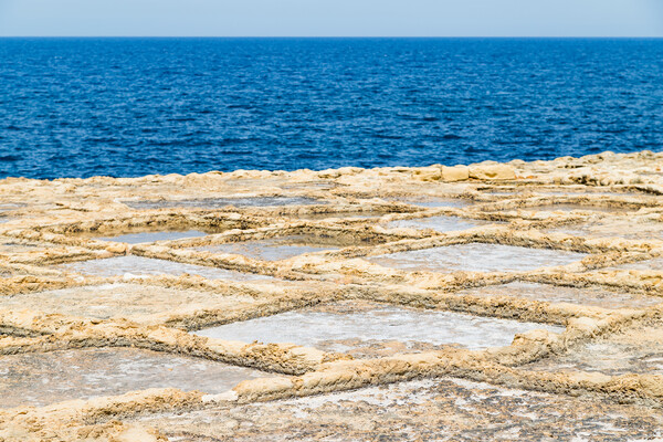 Xwejni salt pans next to the sea Picture Board by Jason Wells