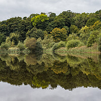 Buy canvas prints of Reflections in a lake by Jason Wells