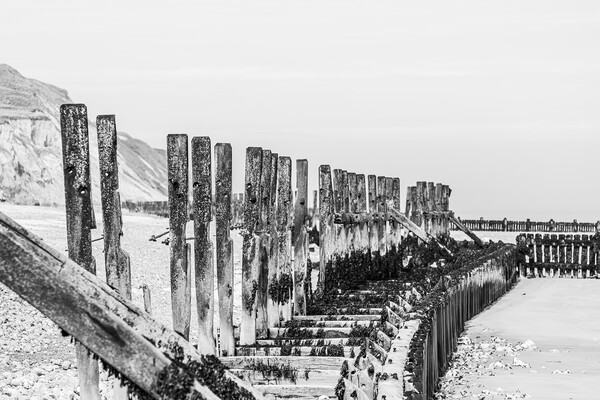 West Runton revetment in black and white Picture Board by Jason Wells