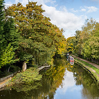 Buy canvas prints of Looking up the Leeds Liverpool canal in autumn by Jason Wells