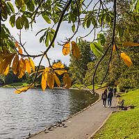 Buy canvas prints of Autumn colours at Sefton Park by Jason Wells