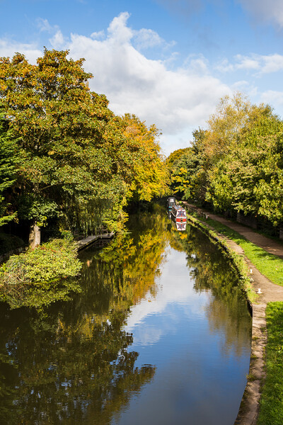 Autumn on the Leeds Liverpool canal Picture Board by Jason Wells