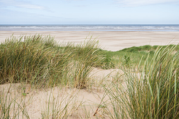 Ainsdale beach over the sand dunes Picture Board by Jason Wells