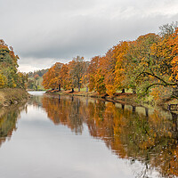 Buy canvas prints of Autumn colours reflect in the River Wharfe by Jason Wells