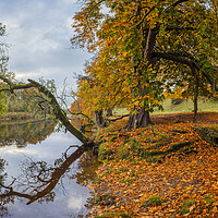 Buy canvas prints of Autumnal colours along the River Wharfe by Jason Wells