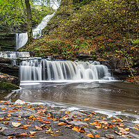 Buy canvas prints of Scaleber Force at autumn by Jason Wells