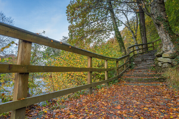 Steps lead to Strid Wood Picture Board by Jason Wells