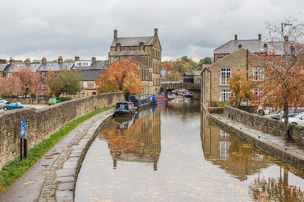 Fallen leaves on the Skipton canal Picture Board by Jason Wells