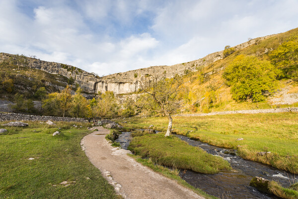 Malham Cove in sunlight Picture Board by Jason Wells