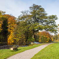 Buy canvas prints of Pathway along the Wharfedale Valley by Jason Wells