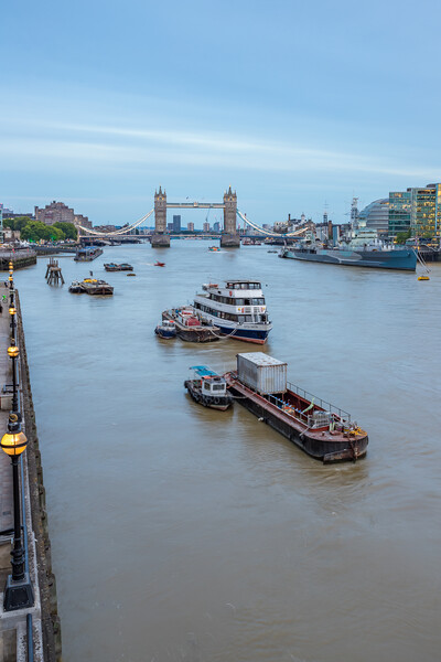 Evening on the River Thames Picture Board by Jason Wells