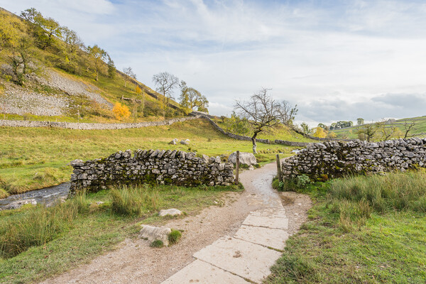 Pathway next to Malham Beck Picture Board by Jason Wells