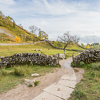 Buy canvas prints of Pathway next to Malham Beck by Jason Wells