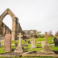 Buy canvas prints of Graves in front of Bolton Abbey by Jason Wells