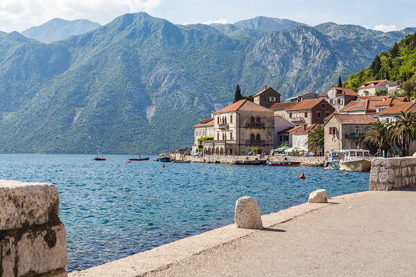 The quayside in Perast Picture Board by Jason Wells