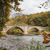 Buy canvas prints of Barden Bridge in autumn by Jason Wells
