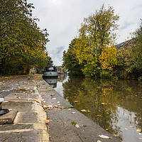 Buy canvas prints of Fallen leaves on the towpath by Jason Wells