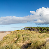 Buy canvas prints of Formby sand dunes panorama by Jason Wells