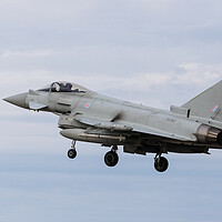 Buy canvas prints of RAF Typhoon coming into land by Jason Wells