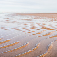 Buy canvas prints of Water caught between sandy ripples by Jason Wells