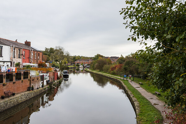 Looking up the canal towards Appleby Bridge Picture Board by Jason Wells