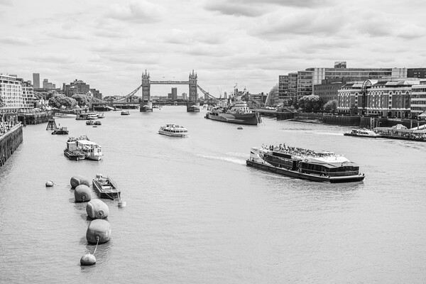 London skyline in black and white Picture Board by Jason Wells