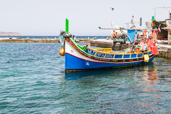Luzzu boat at Mellieha harbour Picture Board by Jason Wells