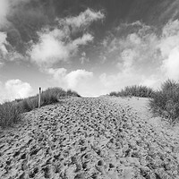 Buy canvas prints of Formby sand dunes in black and white by Jason Wells