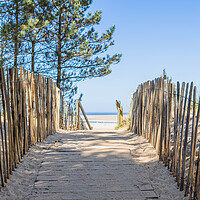 Buy canvas prints of Board walk leading to Wells next the Sea beach by Jason Wells