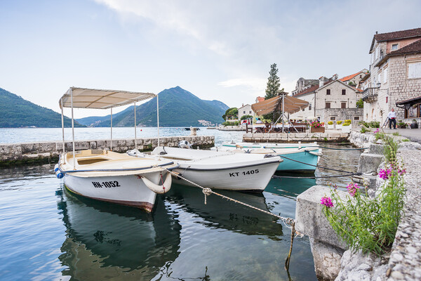 Pretty waterfront of Perast Picture Board by Jason Wells