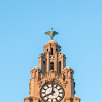 Buy canvas prints of Liver Bird above a clock tower by Jason Wells