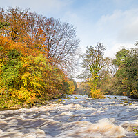 Buy canvas prints of Fast flowing water down the River Wharfe by Jason Wells