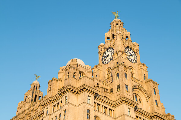 Liver birds dominating the Liverpool skyline Picture Board by Jason Wells