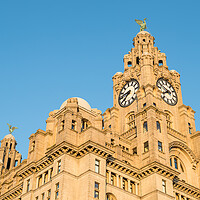 Buy canvas prints of Liver birds dominating the Liverpool skyline by Jason Wells