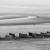 Buy canvas prints of Solitude on Meols Shoreline: A Canine Tale by Jason Wells