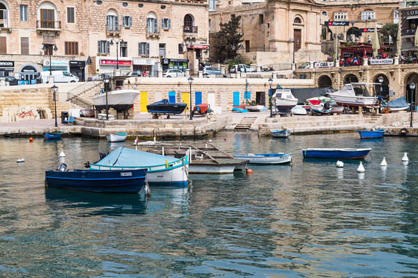 Vibrant vessels at Spinola Bay Picture Board by Jason Wells