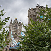 Buy canvas prints of Tower Bridge seen between the trees by Jason Wells