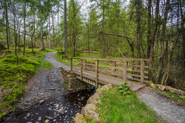 Footbridge over a stream in the Lake District Picture Board by Jason Wells