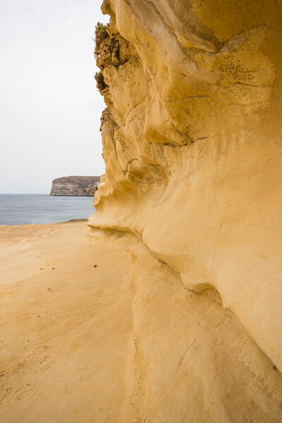 Golden curvature on Xlendi Bay cliff Picture Board by Jason Wells