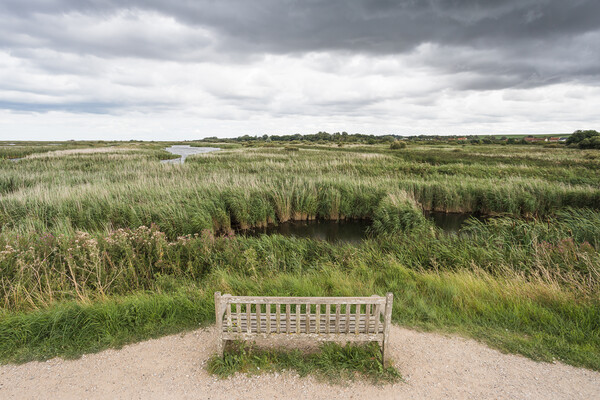 Lone bench overlooking the Titchwell nature reserve Picture Board by Jason Wells