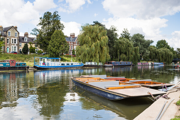 Pair of punts on the River Cam in Cambridge Picture Board by Jason Wells