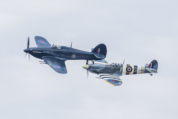 Spitfire and Hurricane pair in formation Picture Board by Jason Wells