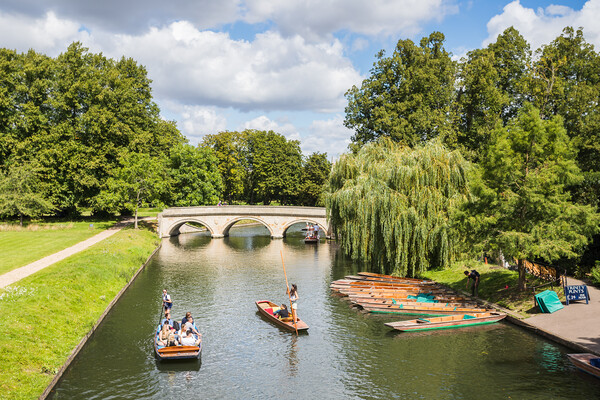 Picturesque punting scene Trinity Bridge Picture Board by Jason Wells