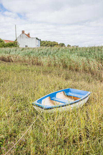 Boat tied at Brancaster Staithe Picture Board by Jason Wells