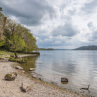 Buy canvas prints of Shores of Lake Windermere at Jenkins Field by Jason Wells