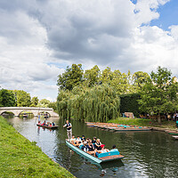 Buy canvas prints of Punts seen from the South Paddock by Jason Wells