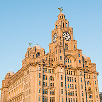 Buy canvas prints of Golden light falling on the Liver Building by Jason Wells
