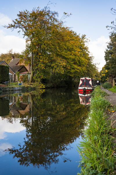 Leeds and Liverpool canal at autumn Picture Board by Jason Wells