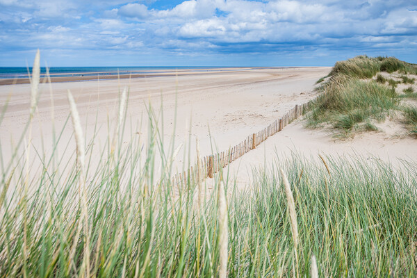 Holkham beach behind dune grass Picture Board by Jason Wells